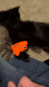 a person playing with a toy gun on a cat 's lap