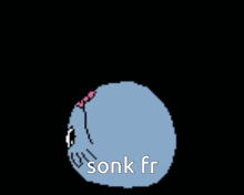 a pixel art drawing of a person with the words sonk fr written on it
