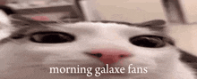 Galaxe Good Morning GIF - Galaxe Good Morning GIFs
