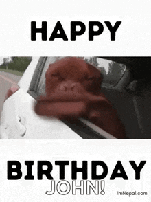 Birthday Wishes Birthday For Dog Lovers GIF