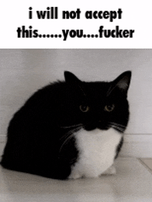 a black and white cat is sitting on a table with the words `` i will not accept this ... you ... fucker '' .