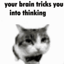 Your Brain Tricks You Into Thinking GIF - Your Brain Tricks You Into Thinking Your Brain Your Brain Tricks You GIFs