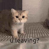 Why Are You Leaving Sad GIF