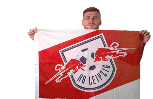 Waving The Flag Timo Werner Sticker