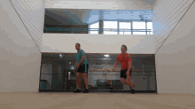 Squash Sport GIF