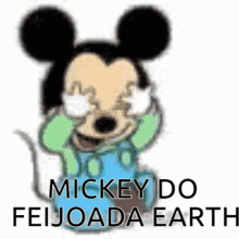 Mickey Mickeyfeijoadaearth GIF - Mickey Mickeyfeijoadaearth Feijoadaearth GIFs
