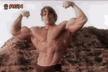 Schwarzenegger Gym GIF - Schwarzenegger Gym Body GIFs