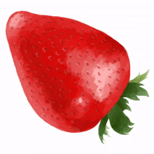 %EB%94%B8%EA%B8%B0 strawberry