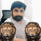 a man with a beard sits in a chair with two lions behind him