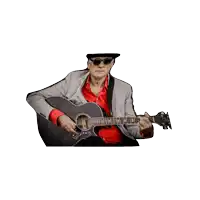 a man wearing sunglasses and a hat plays a guitar