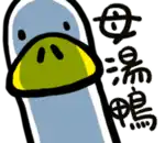 a cartoon drawing of a duck with chinese writing on it
