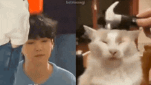 a man is getting his hair cut and a cat is sitting next to a person with a hammer on its head .