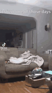 Dog Table GIF - Dog Table Oh No Our Table Its Broken GIFs