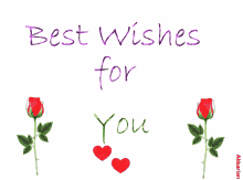 animated greeting card best wishes for you