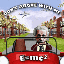 Einstein Albert Einstein GIF - Einstein Albert Einstein Don'T Argue With Me GIFs