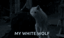 Game Of Thrones Finale Game Of Thrones Season8 GIF - Game Of Thrones Finale Game Of Thrones Season8 Ghost GIFs