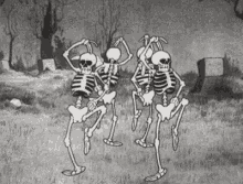 Dance Skeleton GIF - Dance Skeleton Dancing GIFs
