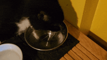 Cat Sip GIF - Cat Sip Thirsty GIFs