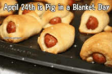 Pigs In A Blanket Pig Food GIF