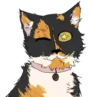 a drawing of a calico cat with a star on its eye