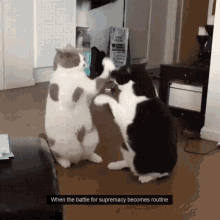 Come On Man Battle For Supremacy GIF - Come On Man Battle For Supremacy Funny GIFs