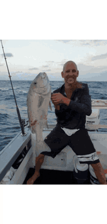 Whitehaven Hill Inlet Tours Fishing Charters Airlie Beach GIF - Whitehaven Hill Inlet Tours Fishing Charters Airlie Beach GIFs