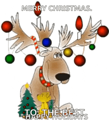 a cartoon of a reindeer with christmas lights on its antlers and the words merry christmas to the best happy holidays .