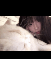 a girl with a white cat on her face