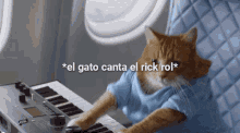 piano gato rick rol