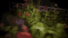 a bunch of flowers are growing in the dark