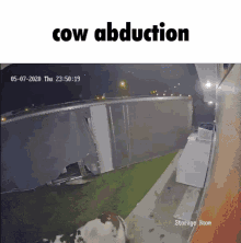 Funny Cow GIF - Funny Cow Cow Abduction GIFs
