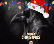 a crow wearing a santa hat is surrounded by christmas lights and the words merry christmas