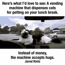 a black and white cat laying on the dashboard of a car with a quote from jarod kintz