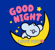 bt21 good night moon sleepy