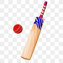 a cricket bat and a red cricket ball on a transparent background .