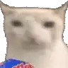 a close up of a cat 's face with a bag of chips in its mouth .