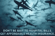 Shark Family Healthinsurance GIF - Shark Family Healthinsurance Health GIFs