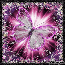 Butterflies Glitters GIF - Butterflies Glitters Beautiful GIFs