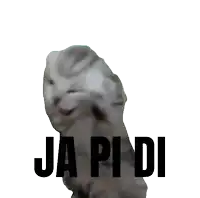 a sticker of a cat with the words ja pi di written on it