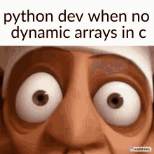 Python Programming GIF