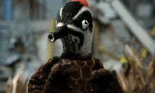 a stuffed bird with a red beak and a white eye is standing in a field