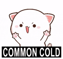 Common Cold Goma And Peach GIF - Common Cold Goma And Peach Milk And Mocha GIFs