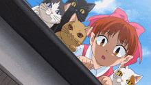 a girl with a pink bow is peeking over a gutter with three cats