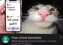 Translator GIF - Translator GIFs