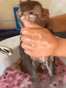 Spa Shower GIF - Spa Shower Time GIFs