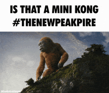 Godzilla X Kong The New Empire Thenewpeakpire GIF - Godzilla X Kong The New Empire Thenewpeakpire Mini Kong GIFs