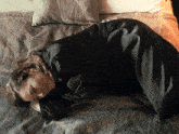 a woman is laying on a bed with her head on her hand