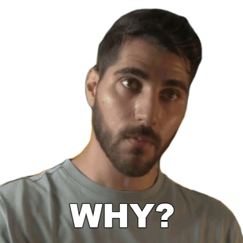 Why Rudy Ayoub Sticker - Why Rudy Ayoub What Is The Reason Stickers
