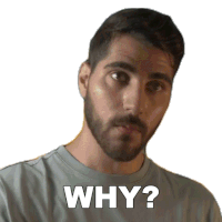 Why Rudy Ayoub Sticker - Why Rudy Ayoub What Is The Reason Stickers