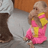 a baby monkey is sitting on a bed and covering its mouth .
